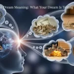 Mouse Dream Meaning: What Your Dream Is Telling You