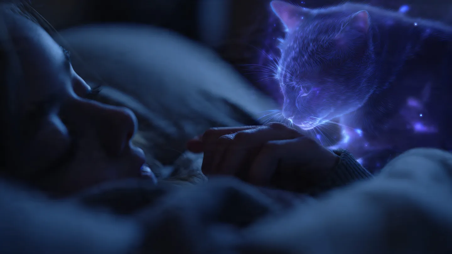 Cat Bite Dream Meaning