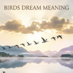 birds dream meaning